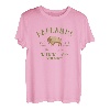 BADLANDS NATIONAL PARK South Dakota Bison tourist souvenir T-Shirt