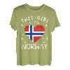 Norwegen Fahne Vintage Norwegische Flagge Herz Norge T-Shirt