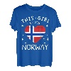 Norwegen Fahne Vintage Norwegische Flagge Herz Norge T-Shirt