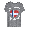 Norwegen Fahne Vintage Norwegische Flagge Herz Norge T-Shirt