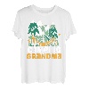 Camping Grandma Camper Campingplatz Hobby Großmutter Oma T-Shirt