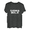 Sigma Male 2023 Starker ehrlicher Mann Geschenk Good Vibes T-Shirt