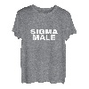 Sigma Male 2023 Starker ehrlicher Mann Geschenk Good Vibes T-Shirt