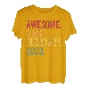 Awesome Since Februar 2000 23. Geburtstag Geschenk 23 Jahre alt T-Shirt