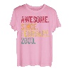 Awesome Since Februar 2000 23. Geburtstag Geschenk 23 Jahre alt T-Shirt