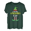 Ich bin der Kindergarten Elf Passende Gruppe Weihnachtsfeier Weihnachten T-Shirt