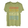 10. Geburtstag Geschenk Legendär seit November 2010 T-Shirt
