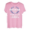 Das Ist Ein Steiner Ding Du Würdest Es Nicht Verstehen T-Shirt