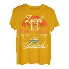 Level 13 Unlocked Männer Gamer 13 Geburtstag Gamer T-Shirt