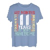 11 Jahre Awesome Months, Wochen, Tage, besonderer Geburtstag T-Shirt