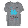 16. Geburtstag Hemd Jungen Geschenke 16-jährigen Sohn Neffe T-Shirt