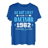 61. Geburtstag Mann Frau 61 Jahre 1962 Deko Lustig Geschenk T-Shirt