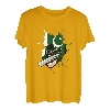 2020 Pakistan Cricket Trikot Geschenk für Pakistanische Cricket-Fans T-Shirt