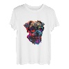 Border Terrier Dogs Border Terrier T-Shirt