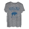 Badlands South Dakota Bison-Design T-Shirt
