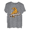 Herren Vater Sohn Partnerlook Papasaurus Partner Outfit T-Shirt