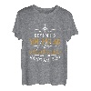 Denk dran, du fliegst ein Flugzeug T-Shirt