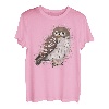 Steinkauz Eule Vogel Singvogel Vogelfreund Vogelbeobachter T-Shirt