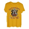 Modellbahner Spur TT 1:120 BR01 Blutgruppe TT positiv T-Shirt
