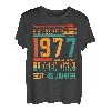 46.Geburtstag Retro Vintage Sunset Legendär Jahrgang 1977 T-Shirt