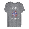 Tausche Arbeit gegen Norwegen Urlaub Flagge Skandinavien T-Shirt