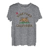 Vineyard California Beach Flag Bear Surf CA Vintage T-Shirt
