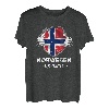 Norwegen Experte Flagge Skandinavien Urlaub T-Shirt