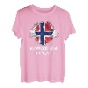 Norwegen Experte Flagge Skandinavien Urlaub T-Shirt