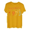 1973 Geburtstag Mann 50 Jahre Deko Lustig 50er 50 Geburtstag T-Shirt