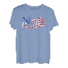 Collierville City Tennessee Amerikanische Flagge T-Shirt