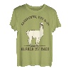 Lustiges Wandern TShirt LAMA ALPAKA Geschenk Bergsteiger T-Shirt