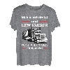 Lkw Fahrer Truck Fernfahrer Berufskraftfahrer T-Shirt