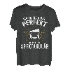 Herren Ich fahre nicht perfekt aber spektakulär Brummi LKW Fahrer T-Shirt